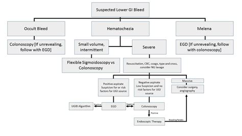 GI Bleeding - Cancer Therapy Advisor