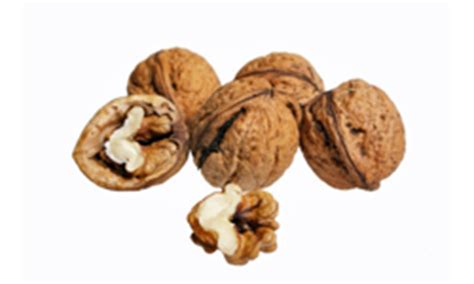 5: Walnuts - Top 10 Foods High in Omega-3 | HowStuffWorks