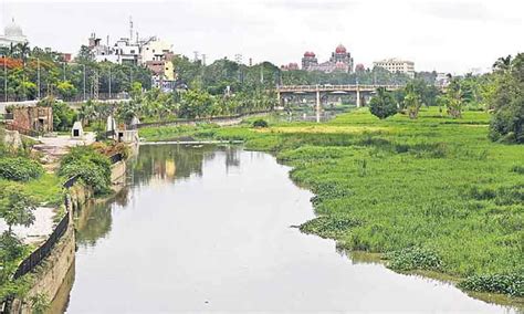 NGT sets up committee to clean Hyderabad's Musi river