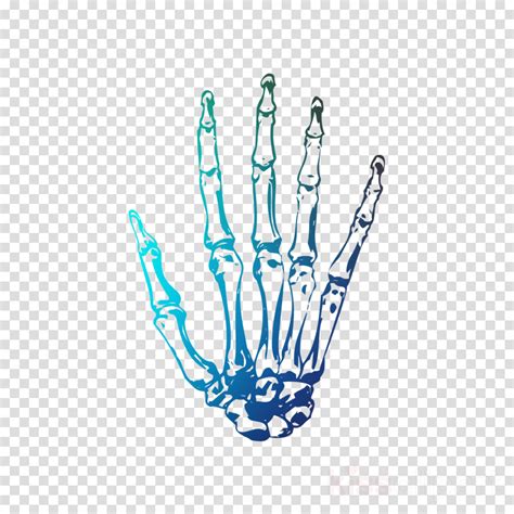 Hand Cartoon Clipart White Hand Finger Transparent Cl - vrogue.co