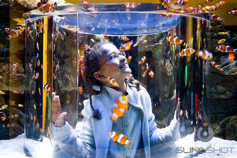 Cape Town Aquarium, V&A Waterfront South Africa | SLINGSHOT MEDIA