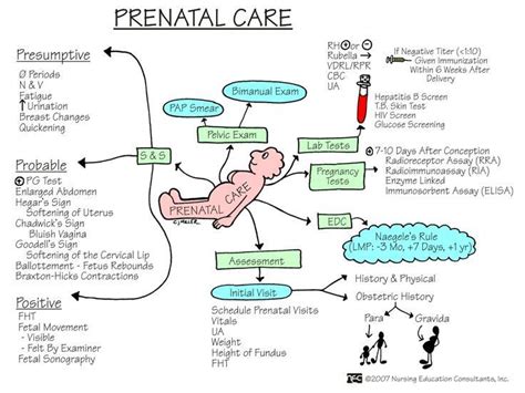 maternal concept map - Google Search #tricycleantidepressants | Neonatal nurse, Pediatric ...