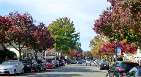 Danville, the place we call home - Shutters & Sunflowers