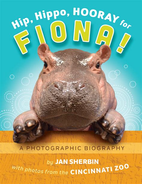 New book celebrates Fiona the hippo's birth, rise to stardom at Cincinnati Zoo - Cleveland news ...