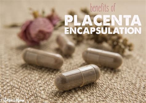 4 Benefits of Placenta Encapsulation