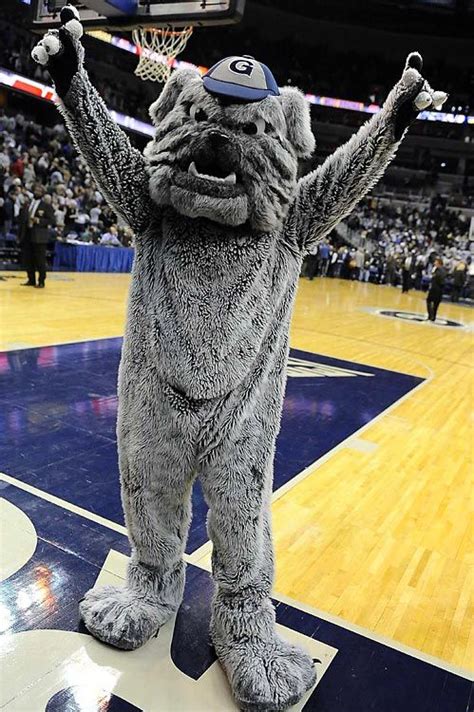 1000+ images about College Mascots: Big East Conference on Pinterest