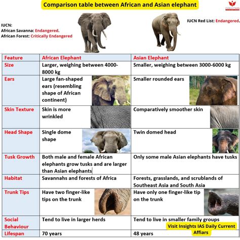 30 years of Project Elephant - INSIGHTS IAS - Simplifying UPSC IAS Exam ...