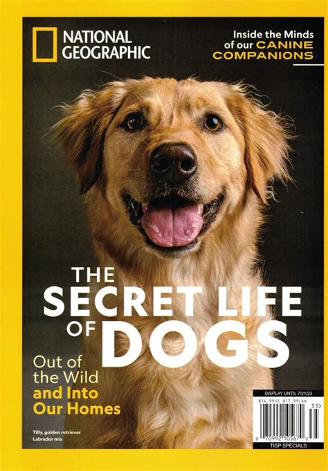 National Geographic Magazine 2023 Golden Retriever Labrador SECRET LIFE ...