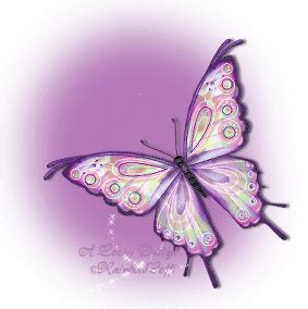 Pin on Butterfly Beautification