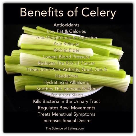 Benefits of Celery. | Celery benefits, Celery nutrition facts, Hydrating foods