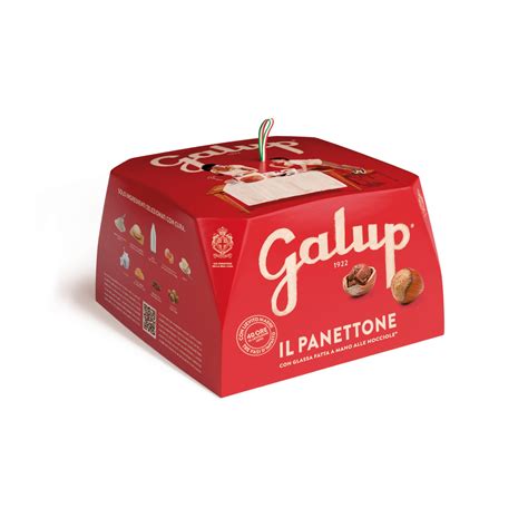 GALUP PANETTONE BOX 750GR - Aurora Importing