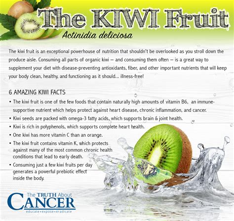 The Incredible Health Benefits of Kiwifruit