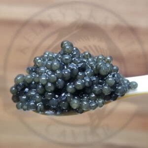 Paddlefish Caviar Archives - Kelleys Katch Caviar