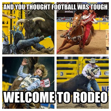 Funny Bull Riding Quotes - ShortQuotes.cc