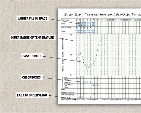 Basal Body Temperature Fertility Tracker, BBT Chart, Ovulation and Pregnancy Planning Insert ...