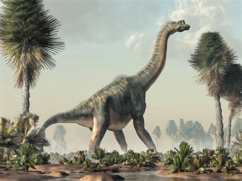 Your Guide to the Majestic, Long Neck Dinosaur | Discover Magazine