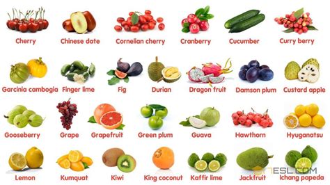 100 Most Popular Fruits in The World | Learn Names of Different Types of Fruits in English