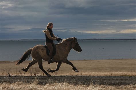 The Origin of Ambling Horses – Medieval Histories