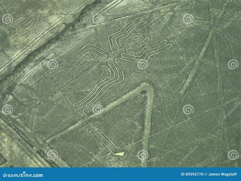 Nazca Lines: the Spider stock photo. Image of crop, geoglyphs - 89592770