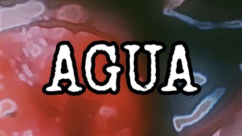 Quench Your Thirst: Discover The Ultimate Guide To Quiro Agua