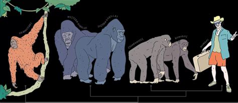 Protect Great Apes from Disease | IUCN PSG SGA