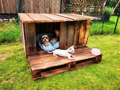 15 Free DIY Pallet Dog House Plans - DIY to Make