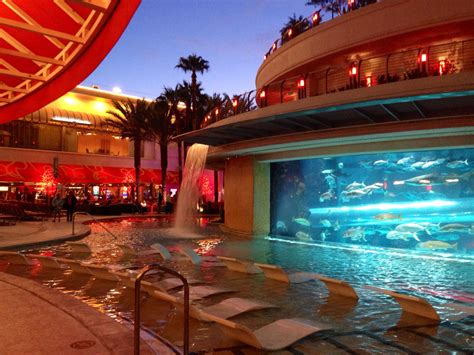 The pool at The Golden Nugget, Las Vegas, Nevada. | Las vegas, Vegas baby, United states travel