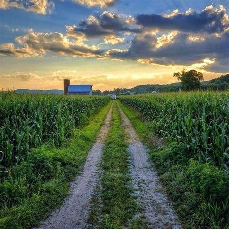 Pin by Abel on Farm | Country roads, Country roads take me home, Country