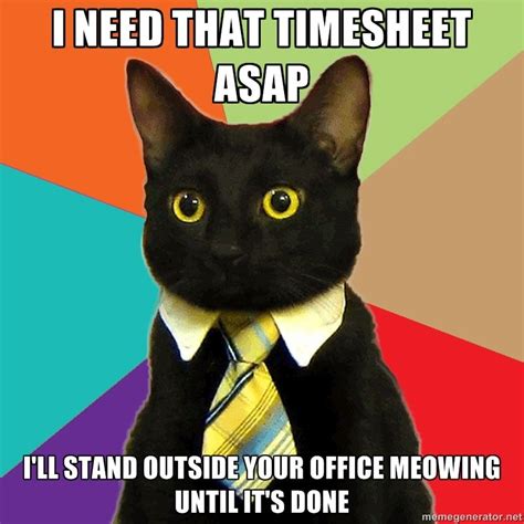 Timesheet Meme Animal