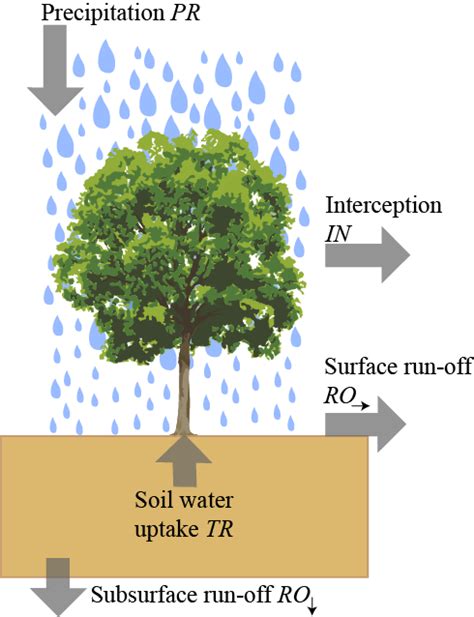 Competition and Environmental Limitations – FORMIND