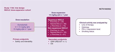 Figure 6 from Durvalumab in non-small-cell lung cancer patients ...