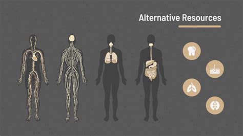 Anatomy Lesson Google Slides theme and PowerPoint template