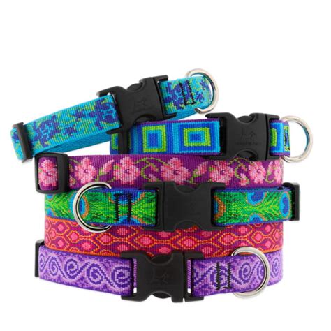 Dog Collars - Popular Designs 100% Guaranteed | Lupine Pet