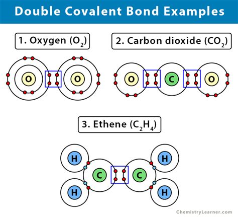 Double Covalent Bond: Definition and Examples