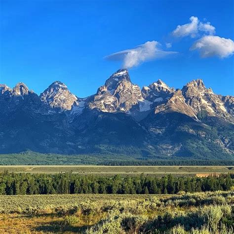 Jackson Hole Wildlife Safaris | Grand Teton & Yellowstone Tours