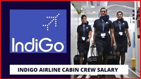 Indigo Cabin Crew Salary And Benefits In 2024 Updated