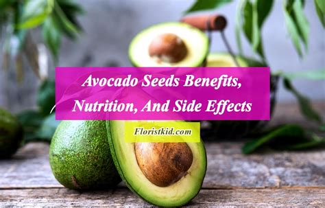 Avocado Seeds Benefits, Nutrition, And Side Effects