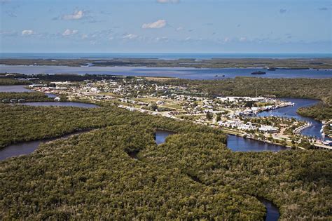 Everglades City Photograph by Patrick Lynch - Fine Art America