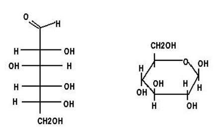 Basic Carbohydrate Chemical Structure