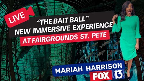 Live at Fairgrounds St. Pete: New Immersive Artwork Unveiling with Mariah Harrison, Fox 13 Tampa ...