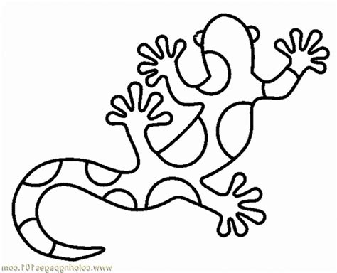 Gecko Coloring Pages Printable at GetDrawings | Free download