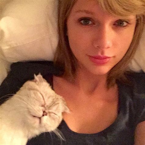 18 Reasons Taylor Swift is the Ultimate Cat Lady - We Love Cats and Kittens