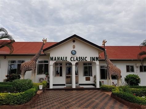 Mahale Classic Lodge (Kigoma, Tanzanie) - tarifs 2021 mis à jour et avis chalet - Tripadvisor