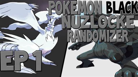 Pokemon Black Nuzlocke Randomizer - YouTube