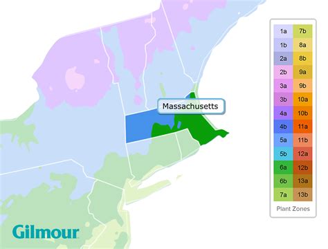 Massachusetts Planting Zones - Growing Zone Map | Gilmour