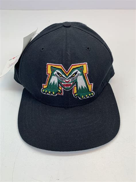 Anyone Recognize this MiLB team logo? : r/MiLB