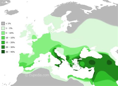 J2a4h2 Y Haplogroup J-L25 DNA J-F761: J2 originated in northern Mesopotamia