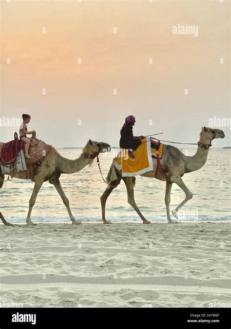 Dubai sunset at the beach Stock Photo - Alamy