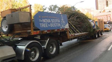 Boston's official Christmas Tree arrives on Boston Common