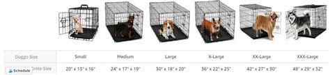 Short Take: Tips To Make Your Dog Love Their Dog Crate! - DogsRealty.com